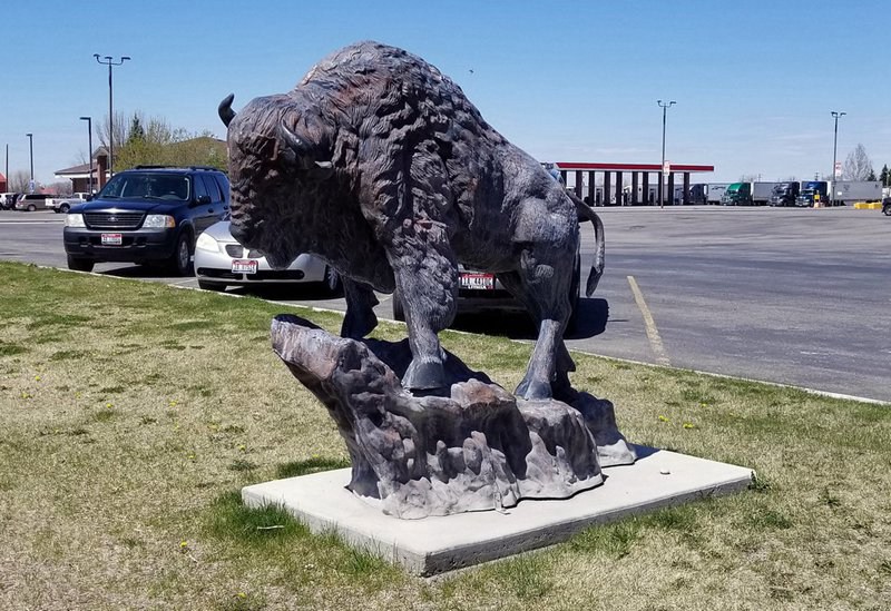 bronze buffalo statue