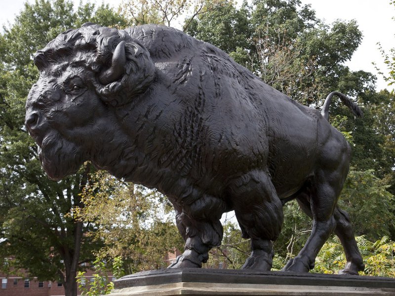 buffalo statue outdoor decor