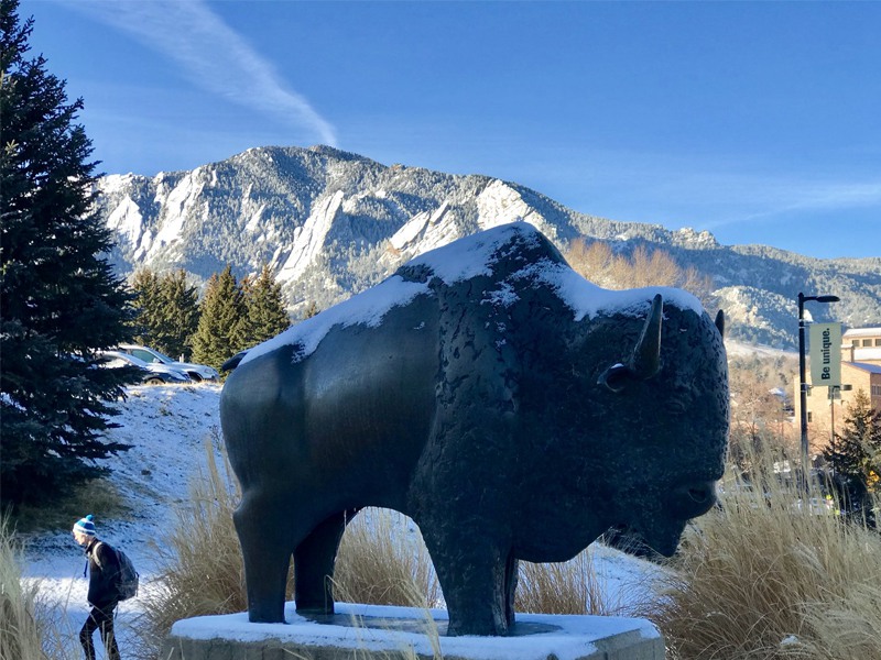 high quality metal buffalo statue