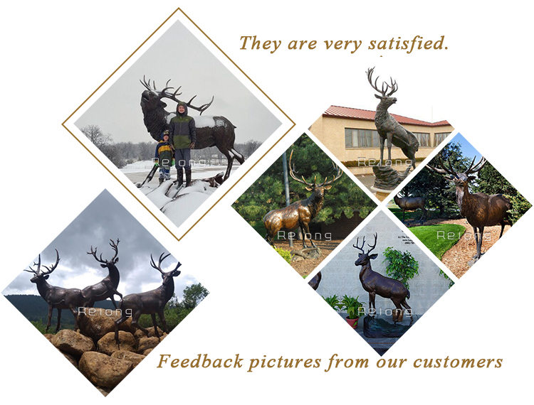 Feedback from Relong's clients