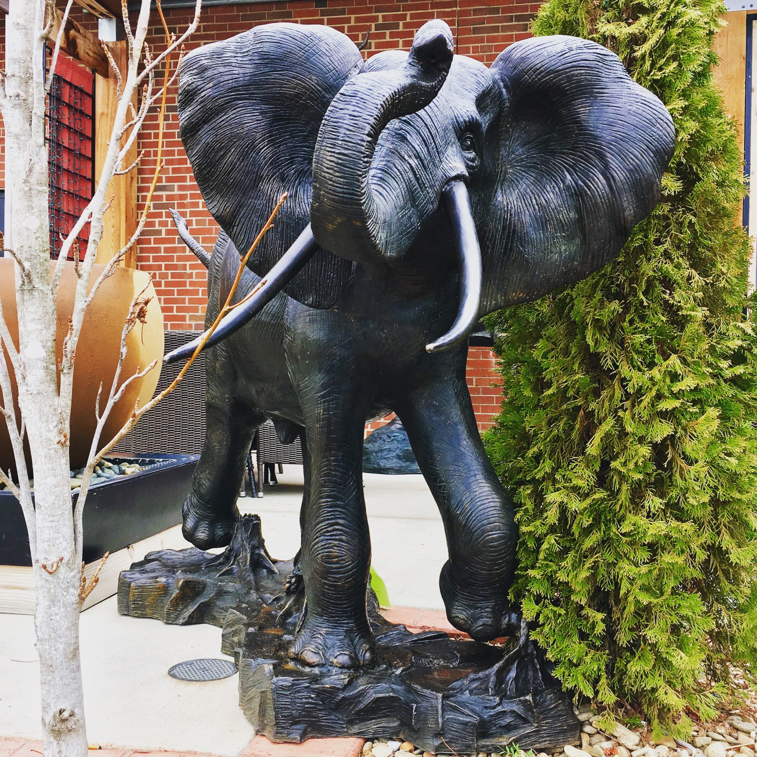 Bronze-Elephant-Sculpture-