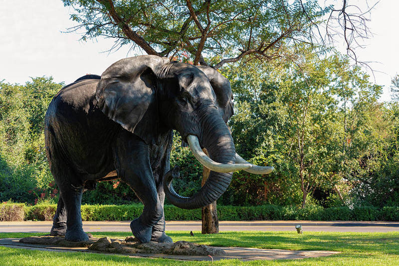 elephant-statue-sun-city-lost-city-in-south-africa-artush-foto