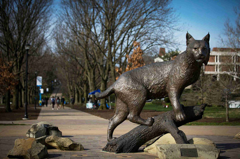 bronze  wildcat statue for sale