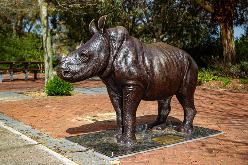 large bronze rhinoceros sculpture (5)