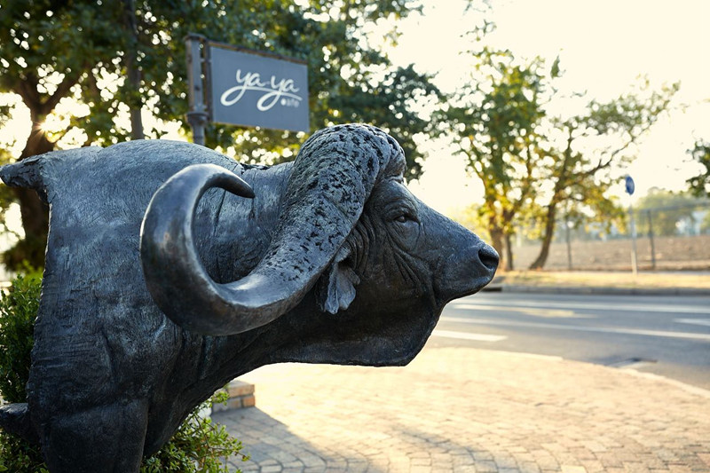 bronze buffalo garden statue (1)