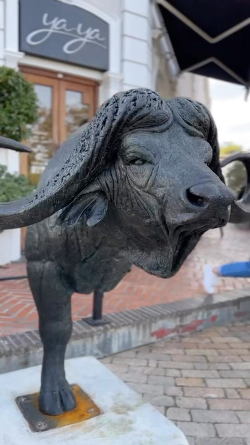 bronze buffalo garden statue (2)