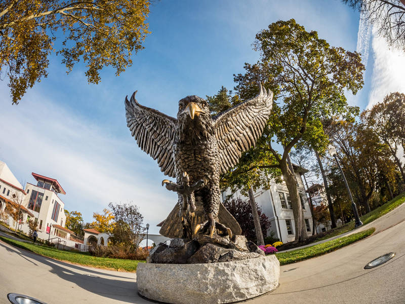 copper bronze hawk statue