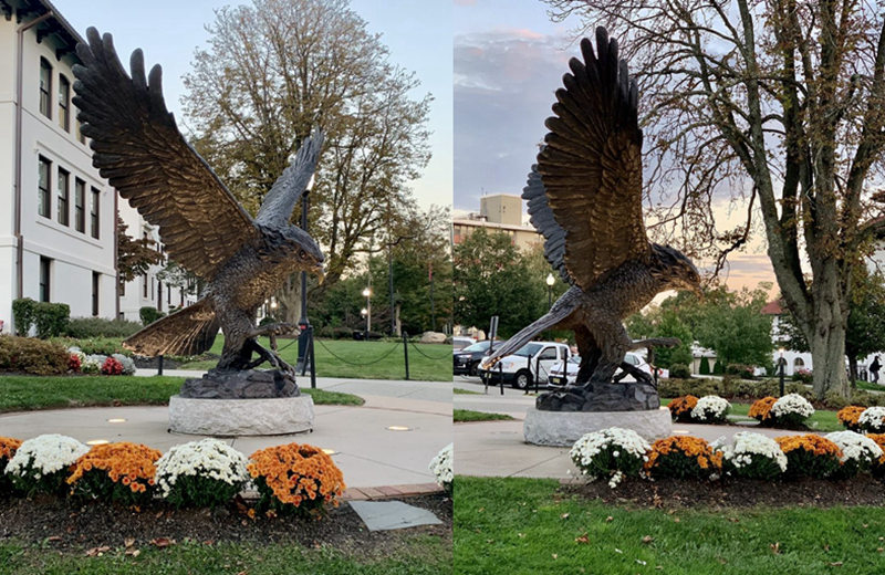 large bronze hawk statue for school ornament